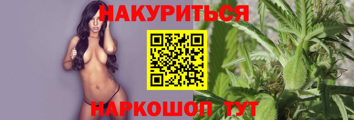 Конопля план Изобильный